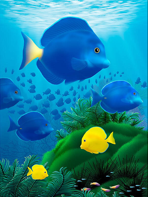 Blue Tangs - Digital Painting - DOWNLOAD