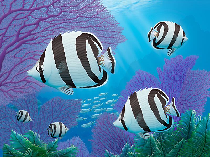 Banded Butterfly Fish - Digital Painting - DOWNLOAD