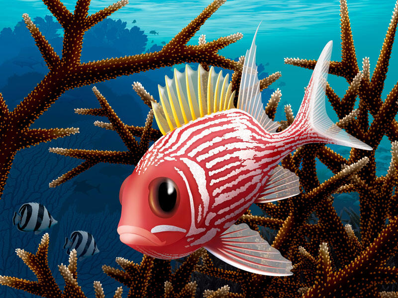 Squirrell Fish- Digital Painting - DOWNLOAD