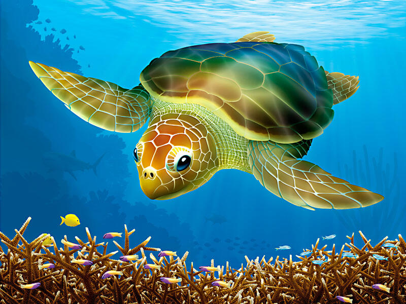 Loggerhead Turtle- Digital Painting - DOWNLOAD