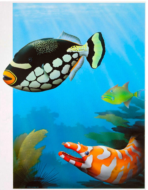Clown Triggerfish - Acrylic Painting - DOWNLOAD