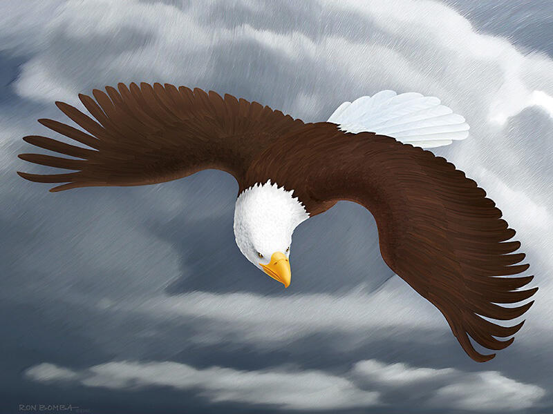Eagle Storm Flight - Digital Painting - DOWNLOAD