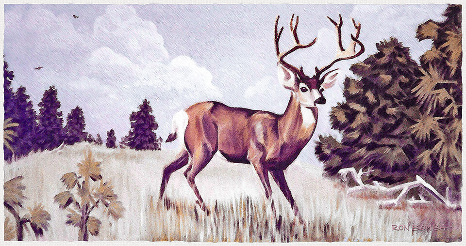 White Tail Buck- Acrylic Painting - DOWNLOAD