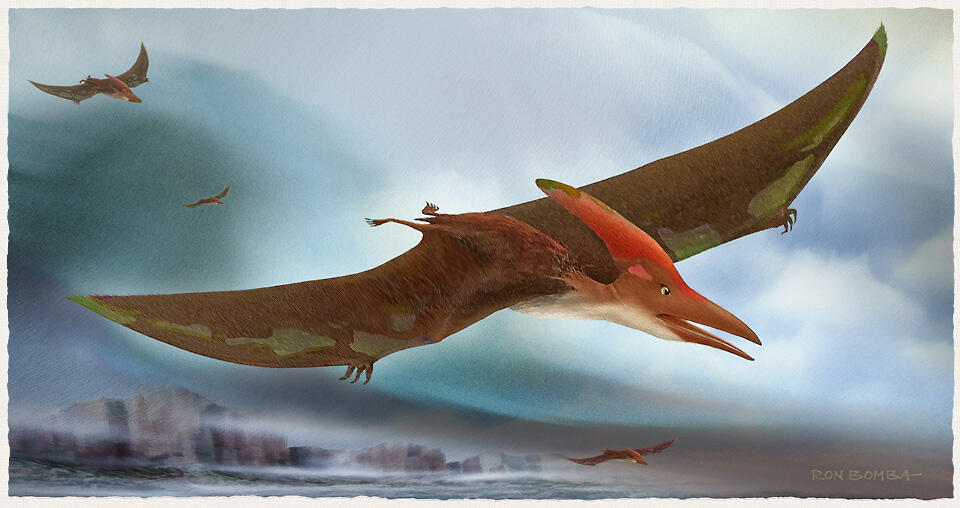 Pteranodon Hybrid Painting - DOWNLOAD