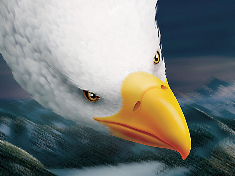 Eagle Late Pursuit - Digital Painting - DOWNLOAD