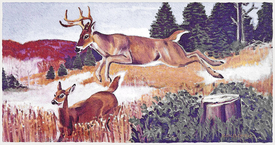 White Tail Deer Pair - Acrylic Painting - DOWNLOAD